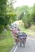 Tour of Missouri, 2008