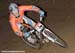 2008 Bromont World Cup