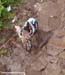 Bromont World Cup