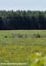 Tour de Beauce
