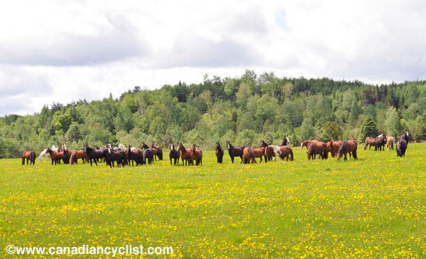 Tour de Beauce