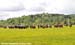 Tour de Beauce