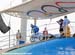 2008 Beijing Olympic Games