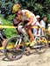 2008 Beijing Olympic Games
