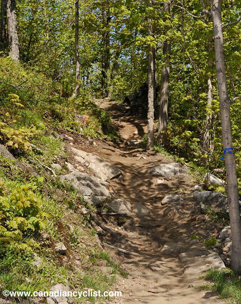 Bromont Canada Cup