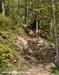 Bromont Canada Cup
