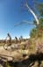 capeepic
