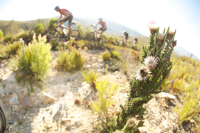 capeepic