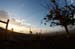 capeepic