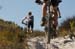 capeepic