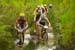 capeepic
