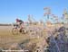 2008 Cross Nationals
