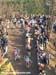 Cyclocross World Championships