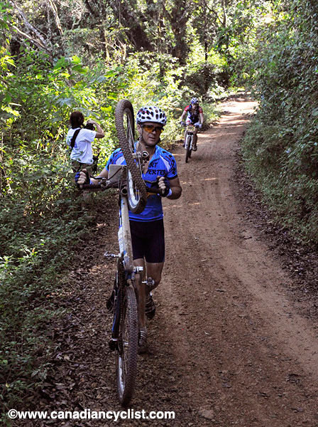laruta