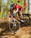 Offenburg World Cup