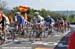 Road World Championships 2008