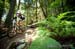 BCbike