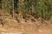 Pietermaritzburg World Cup