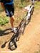 Pietermaritzburg World Cup