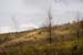 capepic