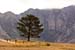 capepic