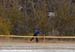 Cyclocross National Champion hips
