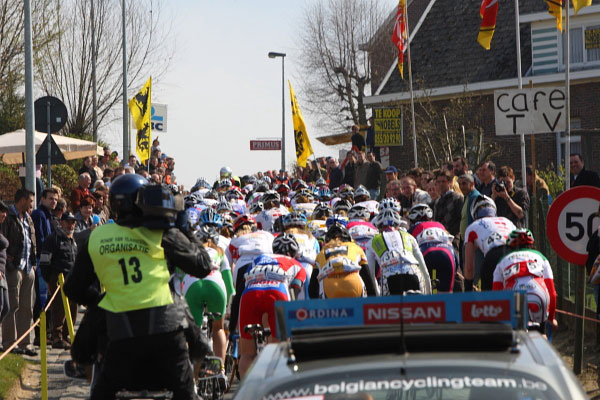 flanders