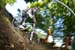 Maribor World Cup