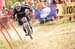 Maribor World Cup