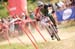 Maribor World Cup