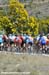 MTB World Championships Canberra Australia
