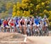 mtbworlds