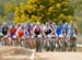 mtbworlds
