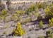 MTB World Championships Canberra Australia