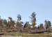 MTB World Championships Canberra Australia