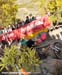 MTB World Championships Canberra Australia