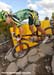 MTB World Championships Canberra Australia