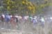 MTB World Championships Canberra Australia