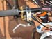 Offenburg World Cup