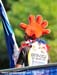 Road World Championships