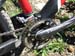 specialized2010