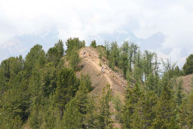 Trans Rockies