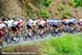 Tour of California