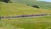 Tour of California