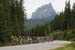 banfffest