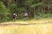 bcbikerace
