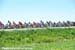 Grand Prix de Beauce