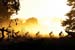 Cape Epic Stage 3