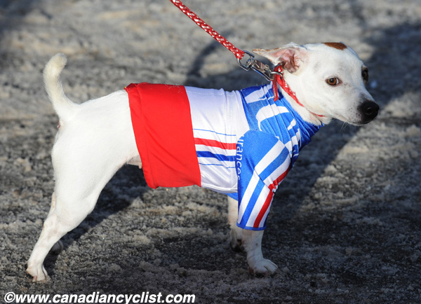 Cyclo-cross World Championships