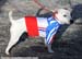 Cyclo-cross World Championships